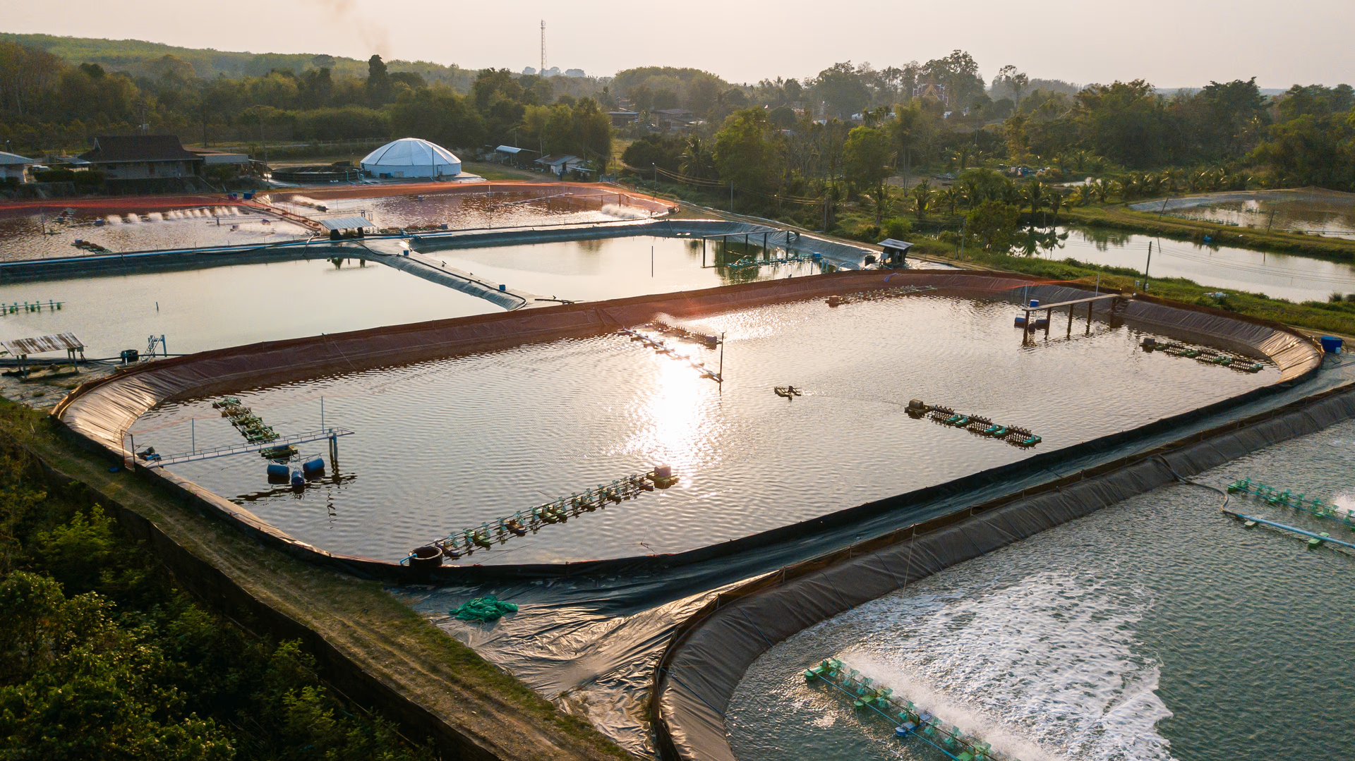 Sustainable aquaculture farm operated by the group