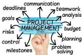IT Project Management